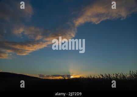 Landschaftsansicht von Reedbed bei Sonnenuntergang, Weston Airfield, Weston-Super-Mare, Somerset, Großbritannien, Februar Stockfoto