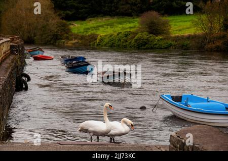 River Garavogue in Sligo, Nordwesten Irlands. Stockfoto