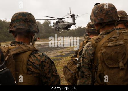 MARINE CORPS TRAINING AREA BALGES, Hawaii (18. Juli 2022) US-Marineinfanteristen werden dem Bataillon Landing Team 3. Bataillon, 4. Marine Regiment, Marine Air-Ground Task Force 7 (MAGTF-7) zugewiesen, beobachten als CH-53E Super Hengst, der Marine Heavy Helicopter Squadron 462, MAGTF-7, Land während des Hubschraubergusstrainings zur Unterstützung von Rim of the Pacific (RIMPAC) 2022. 26 Nationen, 38 Schiffe, drei U-Boote, mehr als 170 Flugzeuge und 25.000 Mitarbeiter nehmen vom 29. Juni bis zum 4. August an der RIMPAC 2022 in und um die Hawaii-Inseln und Südkalifornien Teil. Die größten Internaten der Welt Stockfoto