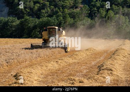New Holland TC5060 Kombinieren Sie Harvester in Aktion, Sonnenschein und Staub Stockfoto