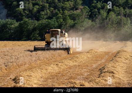 New Holland TC5060 Kombinieren Sie Harvester in Aktion, Sonnenschein und Staub Stockfoto