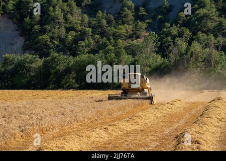 New Holland TC5060 Kombinieren Sie Harvester in Aktion, Sonnenschein und Staub Stockfoto