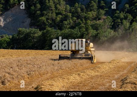 New Holland TC5060 Kombinieren Sie Harvester in Aktion, Sonnenschein und Staub Stockfoto