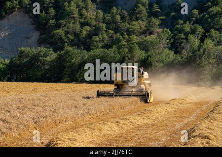 New Holland TC5060 Kombinieren Sie Harvester in Aktion, Sonnenschein und Staub Stockfoto