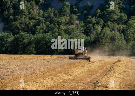 New Holland TC5060 Kombinieren Sie Harvester in Aktion, Sonnenschein und Staub Stockfoto