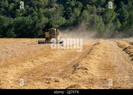 New Holland TC5060 Kombinieren Sie Harvester in Aktion, Sonnenschein und Staub Stockfoto