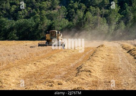 New Holland TC5060 Kombinieren Sie Harvester in Aktion, Sonnenschein und Staub Stockfoto