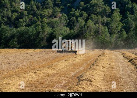 New Holland TC5060 Kombinieren Sie Harvester in Aktion, Sonnenschein und Staub Stockfoto