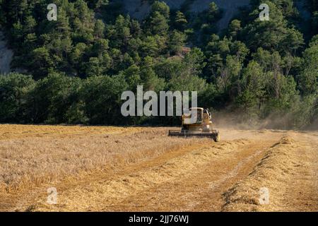 New Holland TC5060 Kombinieren Sie Harvester in Aktion, Sonnenschein und Staub Stockfoto