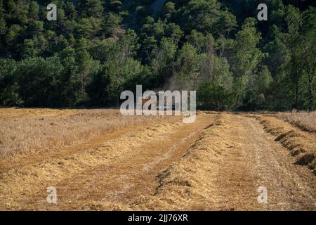 New Holland TC5060 Kombinieren Sie Harvester in Aktion, Sonnenschein und Staub Stockfoto