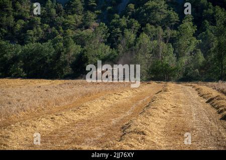 New Holland TC5060 Kombinieren Sie Harvester in Aktion, Sonnenschein und Staub Stockfoto