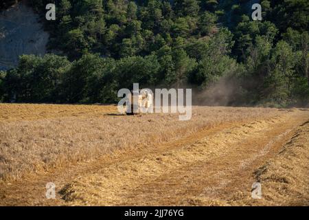 New Holland TC5060 Kombinieren Sie Harvester in Aktion, Sonnenschein und Staub Stockfoto