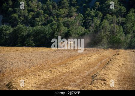 New Holland TC5060 Kombinieren Sie Harvester in Aktion, Sonnenschein und Staub Stockfoto