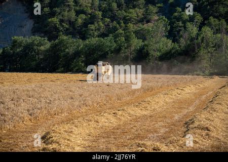 New Holland TC5060 Kombinieren Sie Harvester in Aktion, Sonnenschein und Staub Stockfoto