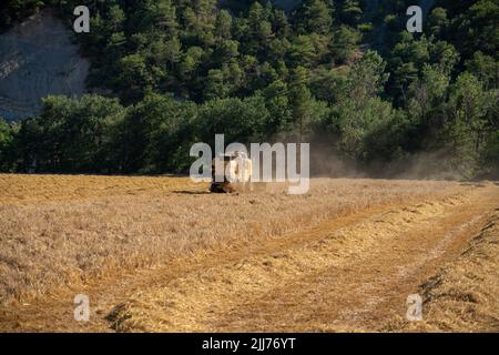New Holland TC5060 Kombinieren Sie Harvester in Aktion, Sonnenschein und Staub Stockfoto