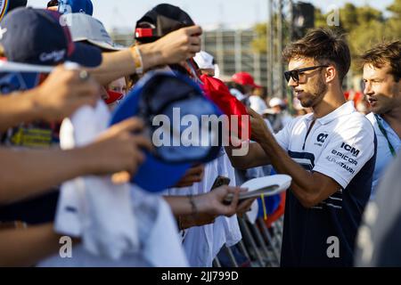 GASLY Pierre (Fra), Scuderia AlphaTauri AT03, Portrait während der Formel 1 Lenovo Grand Prix de France, French Grand Prix 2022, 12. Lauf der FIA Formel 1 Weltmeisterschaft 2022 vom 22. Bis 24. Juli 2022 auf dem Circuit Paul Ricard, in Le Castellet, Frankreich - Foto: Julien Delfosse/Dppi/DPPI/LiveMedia Stockfoto