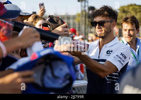 GASLY Pierre (Fra), Scuderia AlphaTauri AT03, Portrait während der Formel 1 Lenovo Grand Prix de France, French Grand Prix 2022, 12. Lauf der FIA Formel 1 Weltmeisterschaft 2022 vom 22. Bis 24. Juli 2022 auf dem Circuit Paul Ricard, in Le Castellet, Frankreich - Foto: Julien Delfosse/Dppi/DPPI/LiveMedia Stockfoto