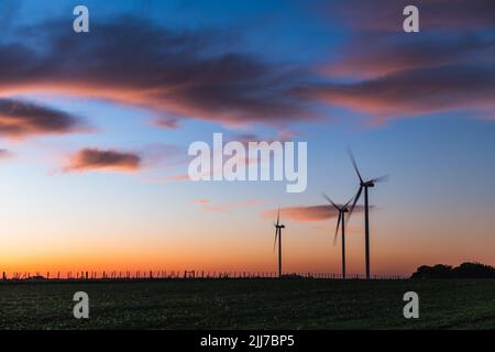 Silhouette von drei modernen Windmühlen unter einem bläulichen Sonnenuntergang am Stadtrand von Kiyú, San José, Uruguay Stockfoto