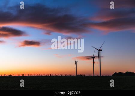 Silhouette von drei modernen Windmühlen unter einem bläulichen Sonnenuntergang am Stadtrand von Kiyú, San José, Uruguay Stockfoto