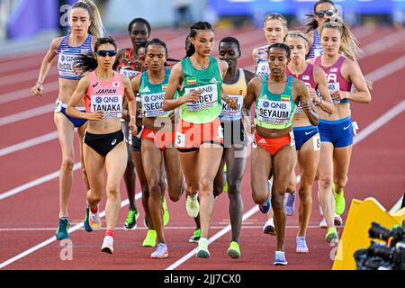 EUGENE, USA - 23. JULI: Athleten, die während der Leichtathletik-Weltmeisterschaften am 23. Juli 2022 in Eugene, USA, an den 5000m Frauen teilnehmen (Foto: Andy Astfalck/BSR Agency) Atletiekunie Stockfoto