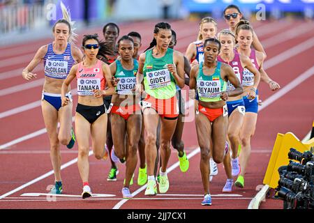 EUGENE, USA - 23. JULI: Athleten, die während der Leichtathletik-Weltmeisterschaften am 23. Juli 2022 in Eugene, USA, an den 5000m Frauen teilnehmen (Foto: Andy Astfalck/BSR Agency) Atletiekunie Stockfoto