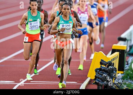 EUGENE, USA - 23. JULI: Gudaf Tsegay aus Äthiopien tritt bei den Leichtathletik-Weltmeisterschaften am 23. Juli 2022 in Eugene, USA, auf der 5000m der Frauen an (Foto: Andy Astfalck/BSR Agency) Atletiekunie Stockfoto