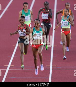 Die Äthiopierin Gudaf Tsegay beim Finale der Frauen 5000m am 9. Tag der Leichtathletik-Weltmeisterschaften im Hayward Field, University of Oregon in den Vereinigten Staaten von Amerika. Bilddatum: Samstag, 23. Juli 2022. Stockfoto