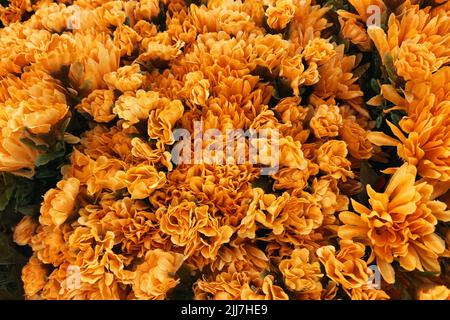 Schöne gelbe und orange Mama Tapete. Fügen Sie Ihren eigenen Text zu diesem Hintergrund hinzu. Stockfoto