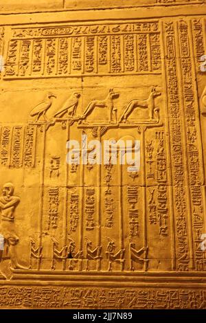 Hieroglyphen und pharaonische Symbole, die an den Wänden des Kom Ombo-Tempels in Assuan, Ägypten, geschnitzt wurden Stockfoto