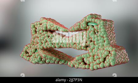 Alogliptin-Diabetes-Wirkstoffmolekül. Dipeptidyl-Peptidase 4 (DPP-4) oder Gliptin-Klasse von antidiabetischen Medikamenten. Antidiabetikum im Hemmstoff DPP-4 Stockfoto