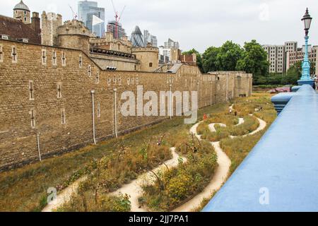 London, Großbritannien. 22.. Juli 2022. Die Menschen umherwandern die Superbloom, eine Blumenwiese, die um den Tower of London gezüchtet wurde, um das Platin-Jubiläum der Königin zu feiern. Die Wiese wird die erste Stufe einer permanenten Umwandlung des Grabens in eine neue, natürlichere Landschaft sein, um einen biovielfältigen Lebensraum für Wildtiere mitten in der Stadt zu schaffen. Die Superbloom läuft vom 1. Juni bis zum 18. September 2022. Kredit: SOPA Images Limited/Alamy Live Nachrichten Stockfoto