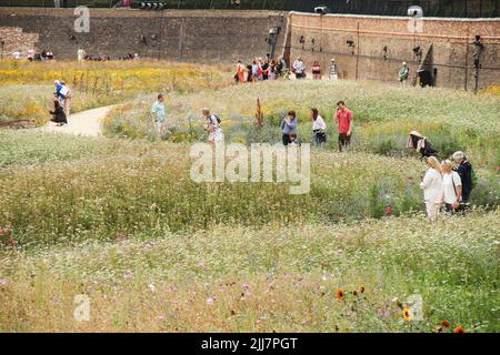 London, Großbritannien. 22.. Juli 2022. Die Menschen umherwandern die Superbloom, eine Blumenwiese, die um den Tower of London gezüchtet wurde, um das Platin-Jubiläum der Königin zu feiern. Die Wiese wird die erste Stufe einer permanenten Umwandlung des Grabens in eine neue, natürlichere Landschaft sein, um einen biovielfältigen Lebensraum für Wildtiere mitten in der Stadt zu schaffen. Die Superbloom läuft vom 1. Juni bis zum 18. September 2022. (Foto von David Mbiyu/SOPA Images/Sipa USA) Quelle: SIPA USA/Alamy Live News Stockfoto