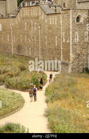 London, Großbritannien. 22.. Juli 2022. Die Menschen umherwandern die Superbloom, eine Blumenwiese, die um den Tower of London gezüchtet wurde, um das Platin-Jubiläum der Königin zu feiern. Die Wiese wird die erste Stufe einer permanenten Umwandlung des Grabens in eine neue, natürlichere Landschaft sein, um einen biovielfältigen Lebensraum für Wildtiere mitten in der Stadt zu schaffen. Die Superbloom läuft vom 1. Juni bis zum 18. September 2022. (Foto von David Mbiyu/SOPA Images/Sipa USA) Quelle: SIPA USA/Alamy Live News Stockfoto