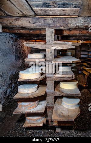 Die Reifung von einheimischen Kuhmilchkäse in Norditalien Stockfoto