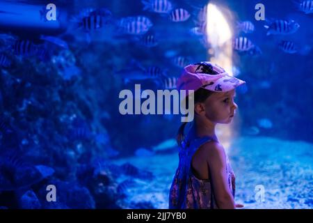 Das Kind sieht Fische im Ozeanarium an. Kleinkind Mädchen genießen Unterwasserleben in großen Aquarium in Ägypten Stockfoto