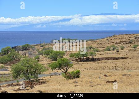 Der Lapakahi State Historical Park entlang der malerischen Küste, nördlich von Kawaihae HI Stockfoto