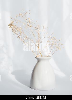 Bouquet von trockenen Gypsophila Blumen in einer weißen Vase Stockfoto