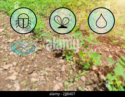 Digitales Farmkonzept mit Wasser-, Pflanzen- und Insektenikon. Smart Farming und Smart Farmers. Stockfoto