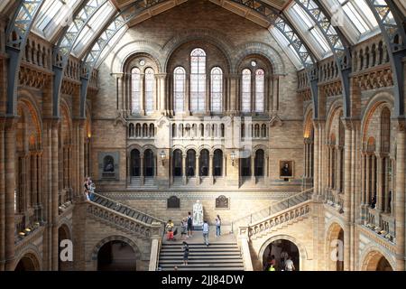 London vereinigtes Königreich 08 September 2013 beeindruckendes Interieur des Natural History Museums Stockfoto