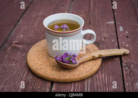 Wilder Thymian-Tee. Tasse frischen Kräutertee mit Thymus serpyllum. Stockfoto
