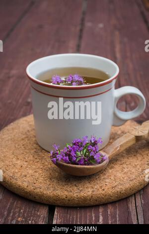 Wilder Thymian-Tee. Tasse frischen Kräutertee mit Thymus serpyllum. Stockfoto