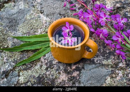 Ivan-Tee oder Chai. Kräutertee aus Feuerkraut Blumen in einer Tasse auf Holz Hintergrund. Traditioneller russischer Kopor-Tee. Stockfoto