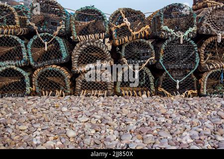 Ein Haufen Hummertöpfe an einem Steinstrand in Devon. Warten auf den Saisonstart. Stockfoto