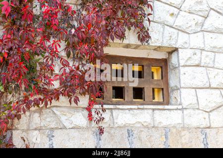 Altes Baufenster mit Holzgitter. Steinwand geflochten mit lockigen Stielen aus girlish Trauben. Herbsthintergrund Stockfoto