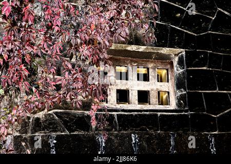 Künstlerische Bildverarbeitung aus Stein Wand Foto mit Fenster und lockigen Stielen von girlish Trauben erstellt Stockfoto