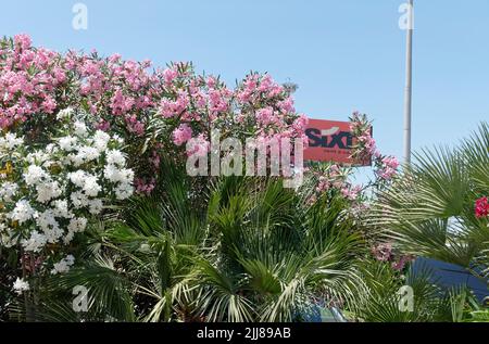 Olbia Flughafen, Schild Mietwagen Anbieter Sixt, Sardinien, Mittelmeer, Italien, Europa, Stockfoto