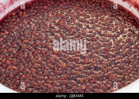 Eine Erdbeermarmelade machen. Erdbeeren in der Pfanne kochen. Texturfrucht, Erdbeergelee. Tun Sie es selbst verarbeiten, hausgemachte Speisen. Stockfoto