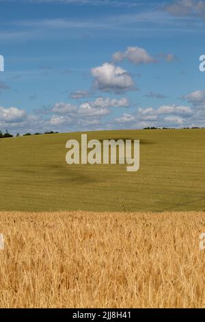 Farmland in Sussex an einem sommertag der suny Stockfoto