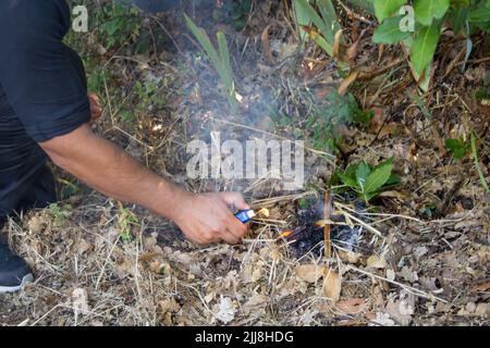 Bild der Hand eines Brandstifters, der mit einem Feuerzeug in einem Holz ein Feuer ausbricht. Hinweis auf das Problem der Waldbrände. Stockfoto