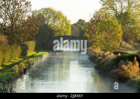 Blick auf den Kanal, die Brücke und die Tierwelt, Bedworth Canal, Warwickshire, Großbritannien, Oktober Stockfoto